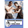 Attacking bridges in Wing Chun