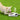 Dog Water Fountain