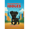 The Adventures Of Iddles: Lost And Found