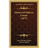 History Of Sullivan County (1873)