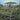 Safari - Animals Of the Serengeti