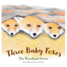 Three Baby Foxes: The Woodland Series