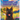 Harper the Rescue Dog: A Tale of Love, Freedom, and Boundaries