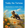 Teddy the Tortoise, Misadventure on Amelia Island