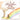 A Rainbow for My Daddy