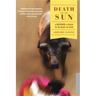 Death and the Sun: A Matador's Season in the Heart of Spain