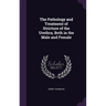 The Pathology and Treatment of Stricture of the Urethra, Both in the Male and Female