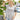 e46ac3bf-1586-4589-baf8-0b472adcf36b-Max