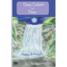 Deep Calleth to Deep: Poetry & Prayers