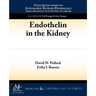 Endothelin in the Kidney