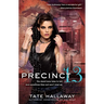 Precinct 13