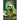 Echoes of the Serpent