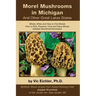 Morel Mushrooms in Michigan And Other Great Lakes States