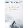 Orbiting Jupiter