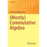 (Mostly) Commutative Algebra