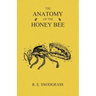 The Anatomy of the Honey Bee