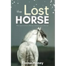 The Lost Horse - Book 6 in the Connemara Horse Adventure Series for Kids