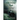 The Melancholy Howl