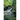 Sweet Water Hunt