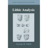 Lithic Analysis