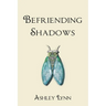 Befriending Shadows