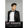 Gay Romantic Suspense Collection: 3 Gay Spy Romantic Suspense Novellas