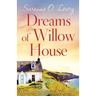 Dreams of Willow House: Gripping, heartwarming Irish fiction full of family secrets