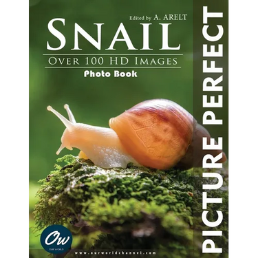 Snail: Picture Perfect Photo Book