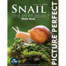 Snail: Picture Perfect Photo Book