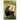 Capuchin Monkey: The complete guide to raising, caring for, and enjoying this intelligent and playful primate