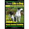 Danish-Swedish Farmdog, Danish-Swedish Farmdog Training Think Like a Dog But Don't Eat Your Poop! Danish-Swedish Farmdog Breed Expert Training: Here's