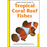 Tropical Coral Reef Fishes