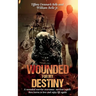 Wounded For My Destiny: A Wounded Warrior Overcomes Survivor's Guilt: Manifesting Love