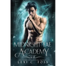 Midnight Fae Academy: Book One