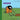 Worms