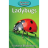 Ladybugs