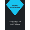 The Life of the Weevil
