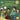 If You Were Me and Lived in...Renaissance Italy: An Introduction to Civilizations Throughout Time