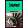 Antonioni, Or, the Surface of the World
