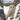 The Christmas Owl