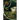 Patterns in the Dark