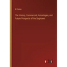 The History, Commercial, Advantages, and Future Prospects of the Saginaws
