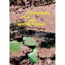 Experimental Film and Anthropology