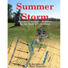 Summer Storm: Regimental Wargame Scenarios For the Battle of Gettysburg