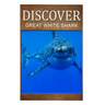 Great White Shark - Discover: Early reader's wildlife photography book