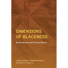 Dimensions of Blackness: Racial Identity and Political Beliefs