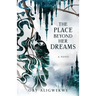 The Place Beyond Her Dreams