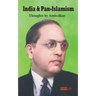 India and Pan-Islamism