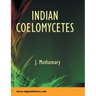 Indian Coelomycetes