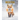 Red Fox: Amazing Photos and Fun Facts Book